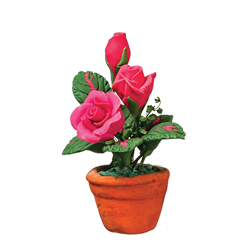AZB0550 - Pink Roses In Pot