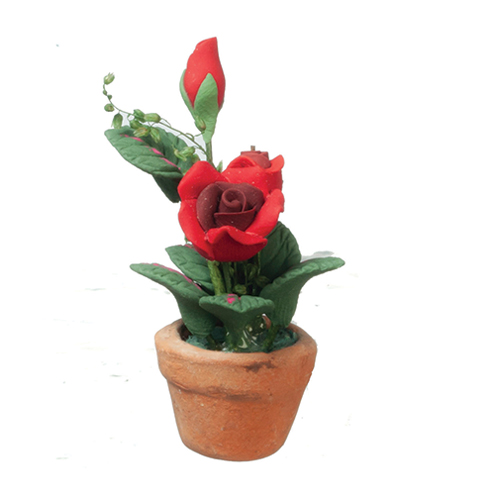 AZB0552 - Red Roses In Pot