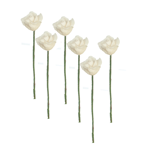 AZB3389W - White Roses/6