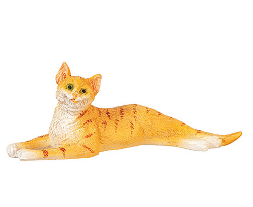 AZE0181 - Stretched Cat/Orange