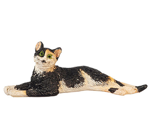 AZE0183 - Stretched Cat/Calico