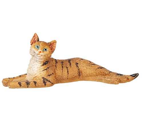 AZE0186 - Stretched Cat/Tabby