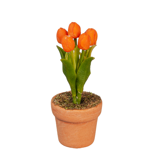 AZG6294 - Orange Tulip In Pot