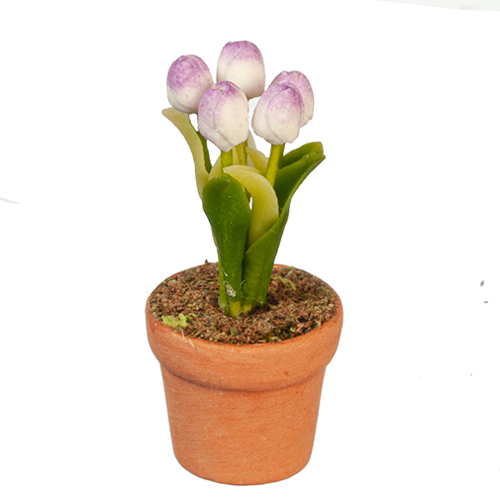 AZG6297 - Lavender Tulip In Pot
