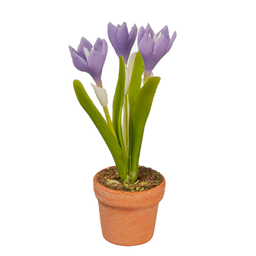 AZG6324 - Purple Flowers In Pot