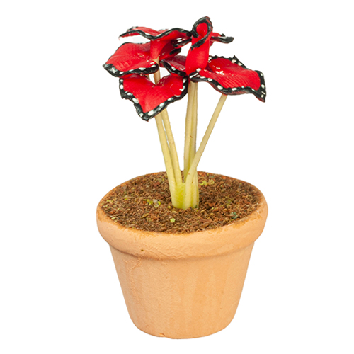AZG6329 - Red Potted Plant