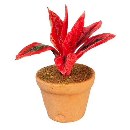 AZG6335 - Potted Plant