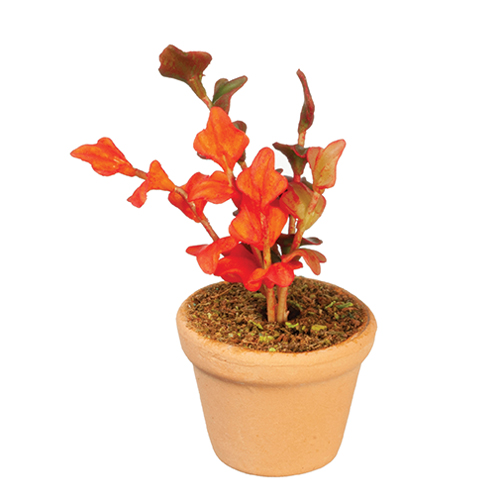 AZG6338 - Potted Plant