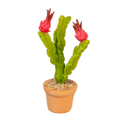 AZG6355 - Cactus