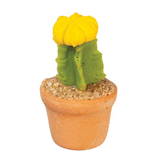 AZG6358 - Cactus