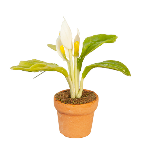 AZG6404 - Peace Lily In Pot