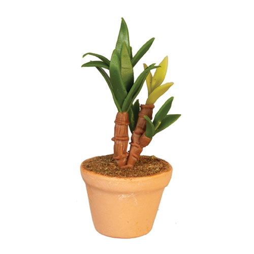 AZG6792 - Potted Plant
