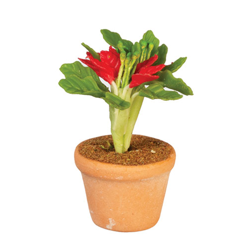 AZG6793 - Potted Plant