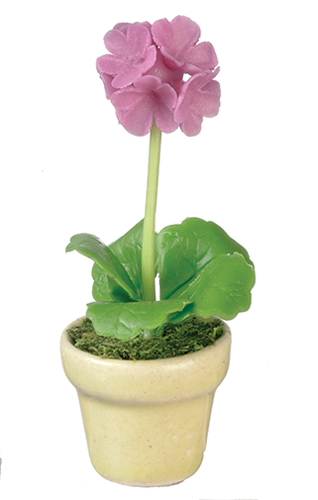 AZG7383 - Allium In Pot/Pink