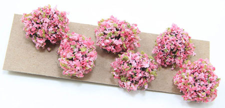 CABPL15 - Border Plant: Pink-Fuchsia, Large, 6 Pieces