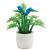 CAPP1 - Plant with Blue Flowers in White Pot
