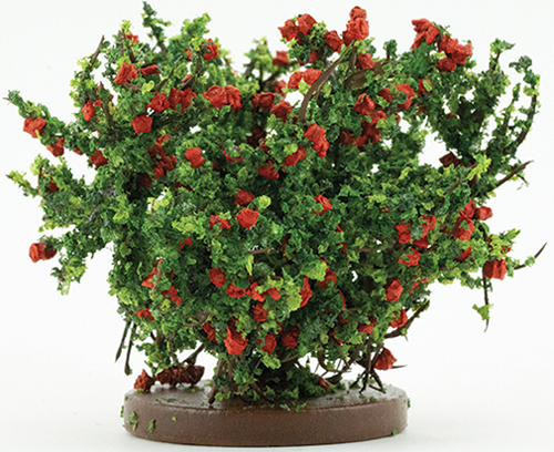 CARBSR - Rose Bush, Small, Red