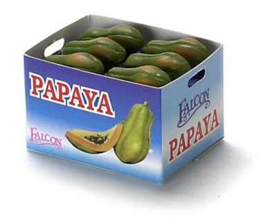 FCA1512 - Papaya Case