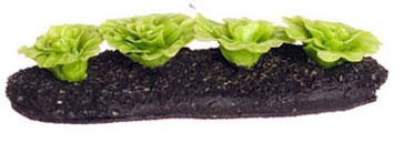 FCA1703SM - Lettuce Garden/ 1/2 Scale