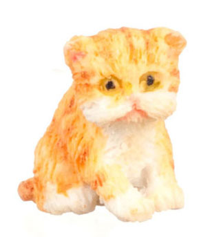 FCA4161OR - Persian Kitten, Orange