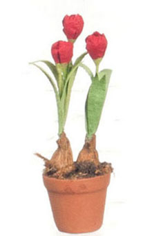 FCMR1026L - Tulips In Terra Cotta Pot, Rd
