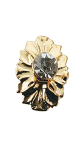 HW1141 - Crystal Medallion Knob