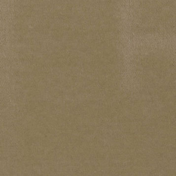 MG2316R - Carpet: Beige, 14 X 20