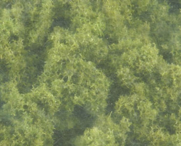 WDSFC145 - Bushes Clump Foliage Light Green