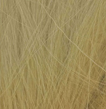WDSFG-171 - Field Grass-Natural Straw