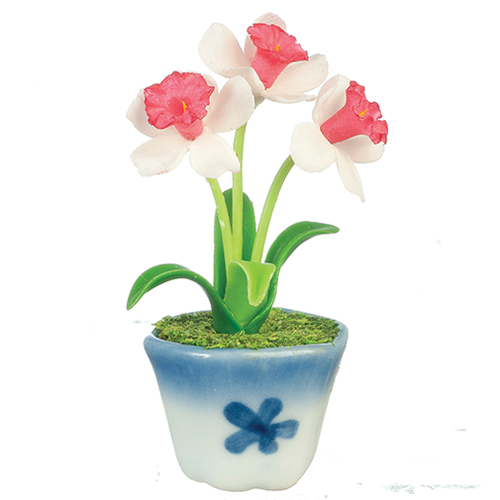 AZG7411 - Daffodils In Pot, White/Pink