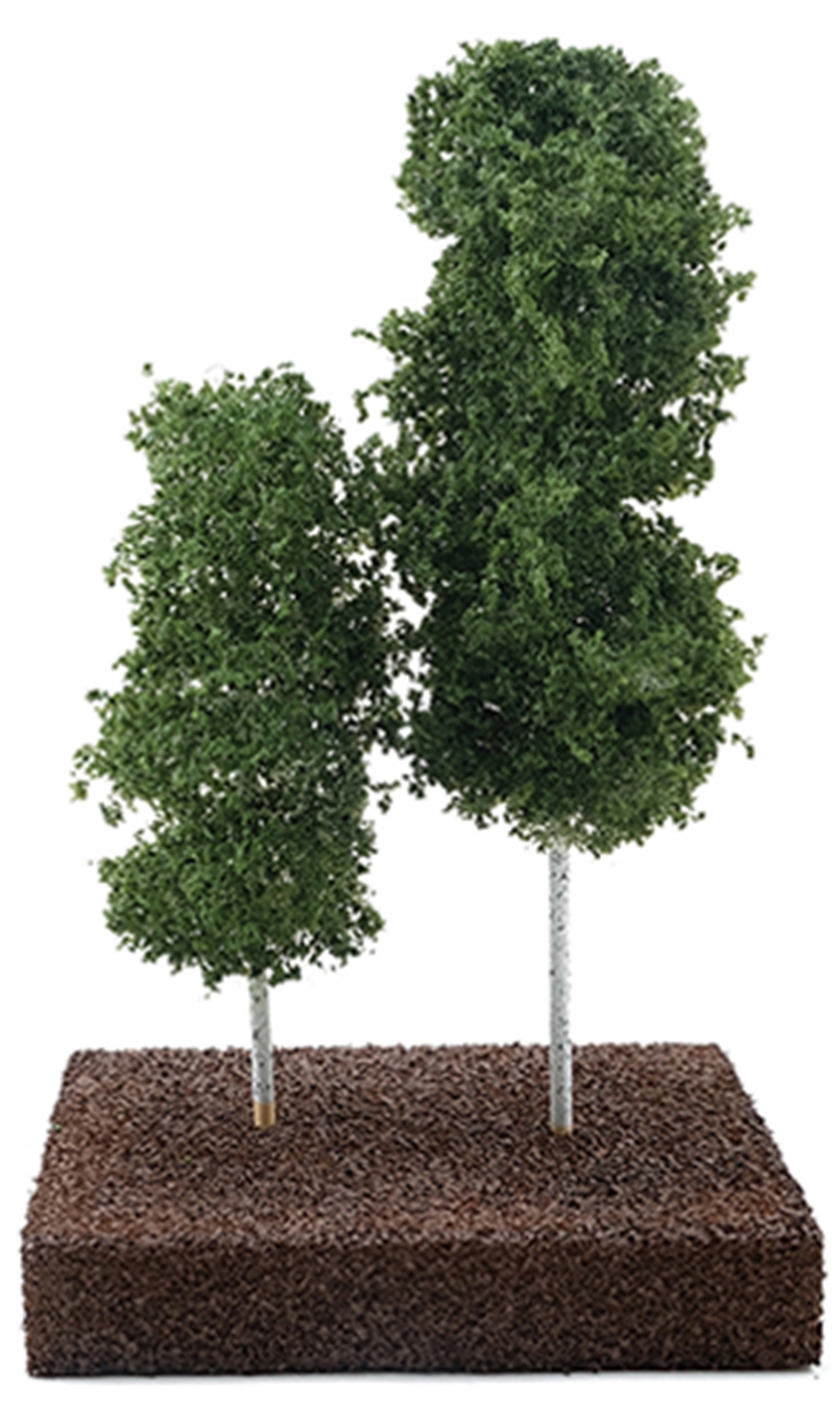 Green Aspen Tree