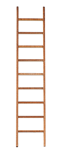 AS15T - 10In Ladder W Tread