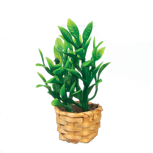 AZB0271 - Bamboo Plant/Basket