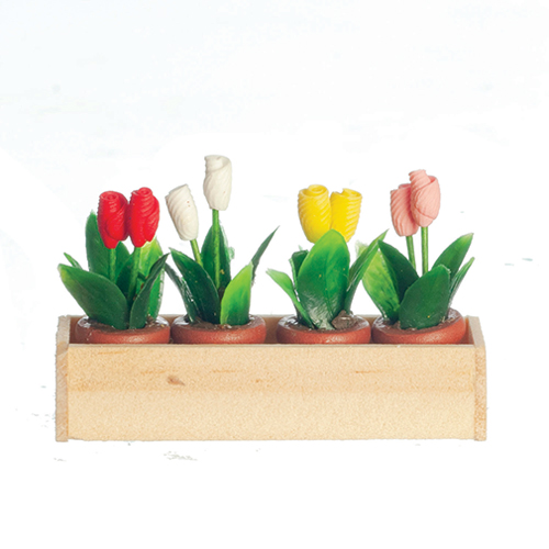 AZB0297 - Window Box W/Tulips/Natur