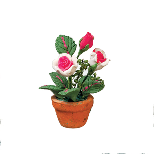 AZB0548 - Pink Roses In Pot