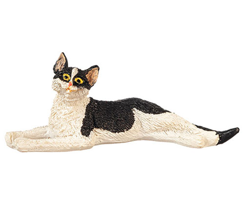 AZE0182 - Stretched Cat/Black/White