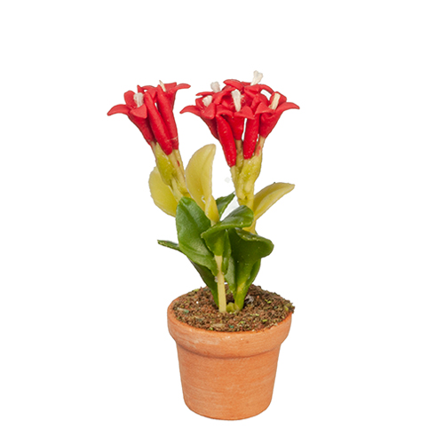 AZG6303 - Red Flowers In Pot