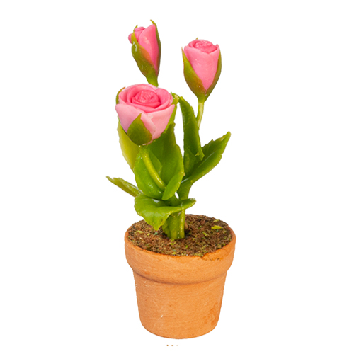 AZG6304 - Pink Roses In Pot