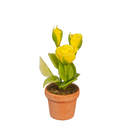 AZG6305 - Yellow Roses In Pot