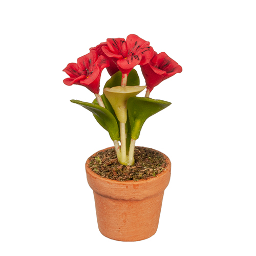 AZG6307 - Red Flowers In Pot