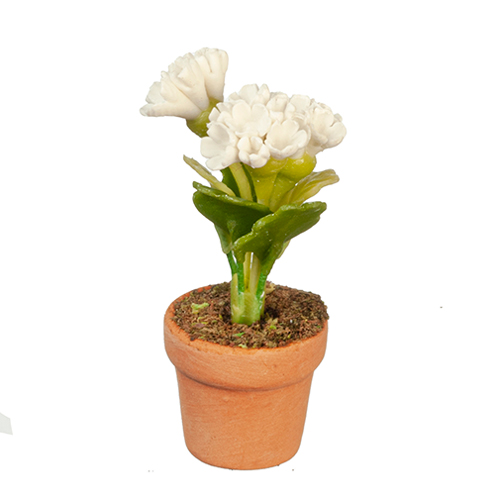 AZG6313 - White Flowers in Pot