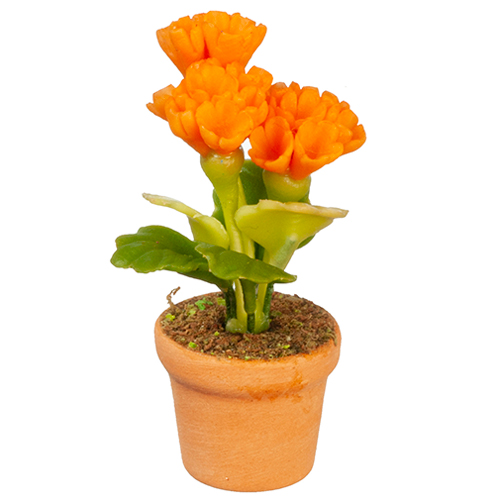AZG6314 - Orange Flowers In Pot