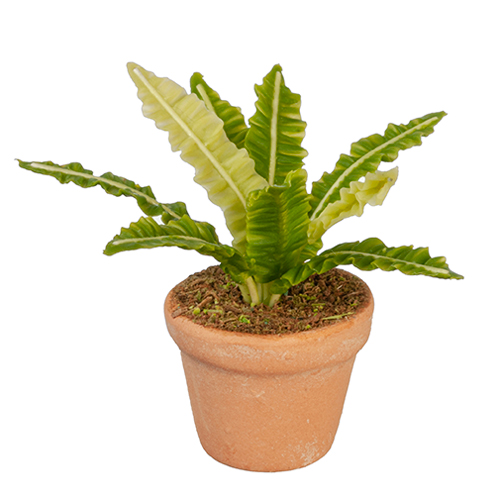 AZG6334 - Potted Plant