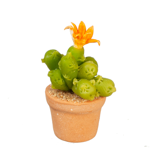 AZG6348 - Cactus