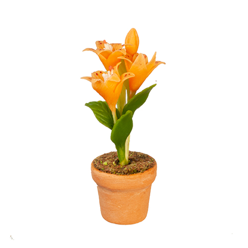 AZG6402 - Asian Lily In Pot