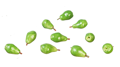 AZG6426 - Pears/10