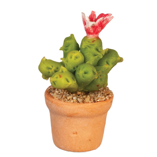 AZG6729 - Cactus Plant