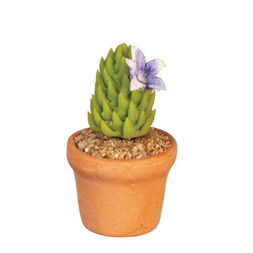 AZG6780 - Cactus Plant