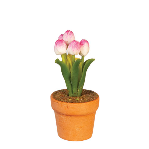 AZG6782 - Potted Flower