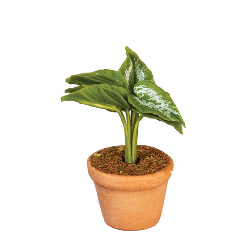 AZG6783 - Potted Plant